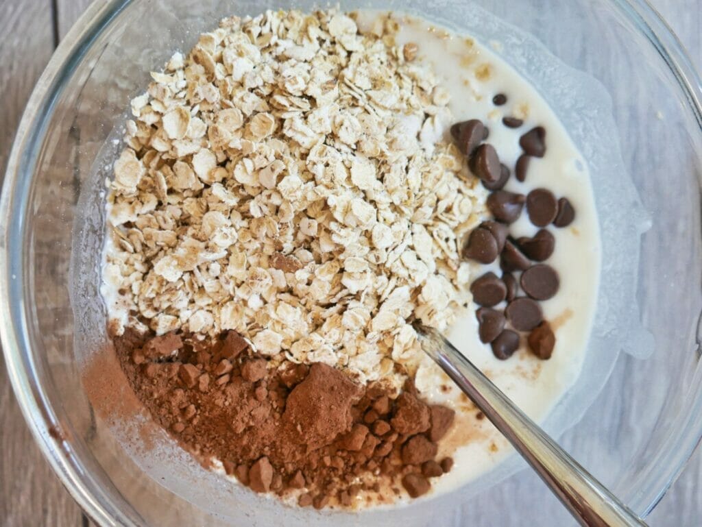 oatmeal cocoa powder and chocolate chips in bowl