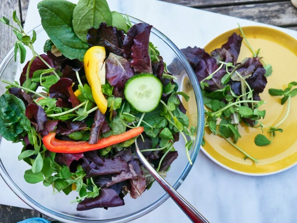 cucumber and bell pepper salad in bowl with yellow plate