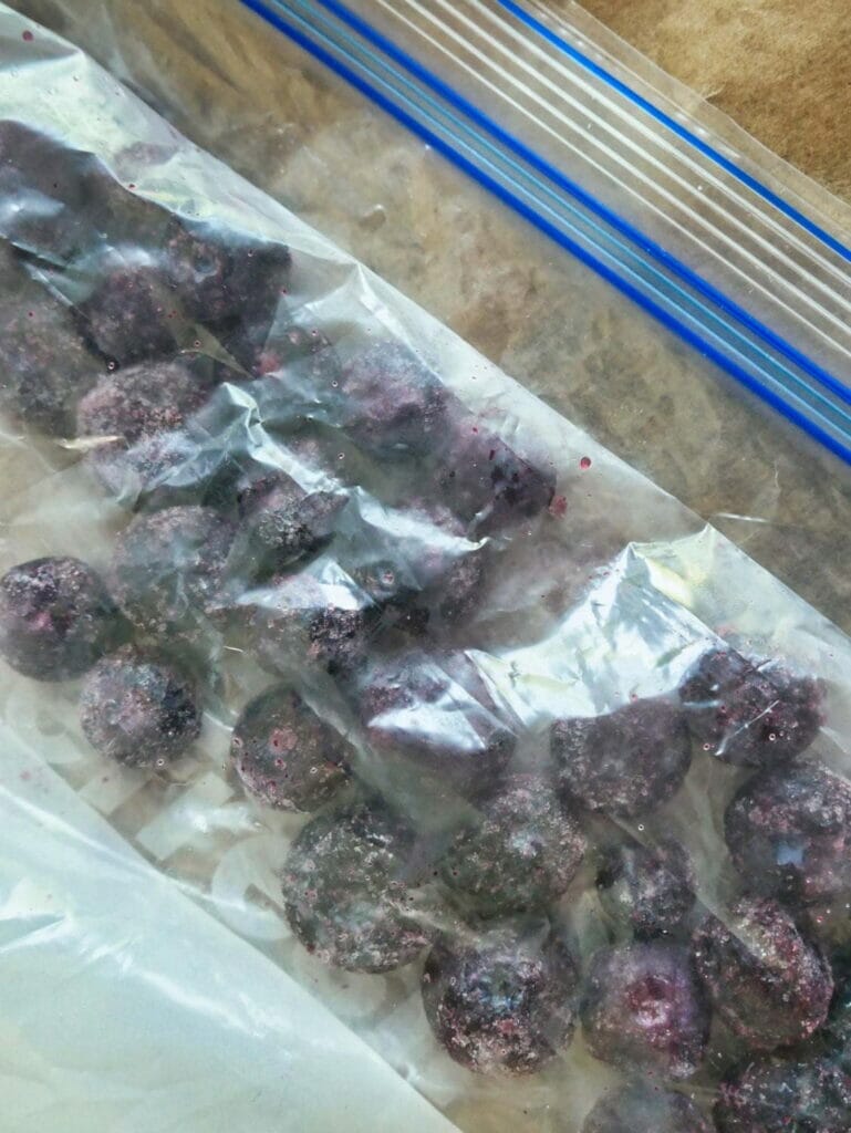 frozen blueberries in ziploc bag