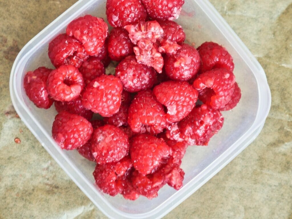 raspberries in container