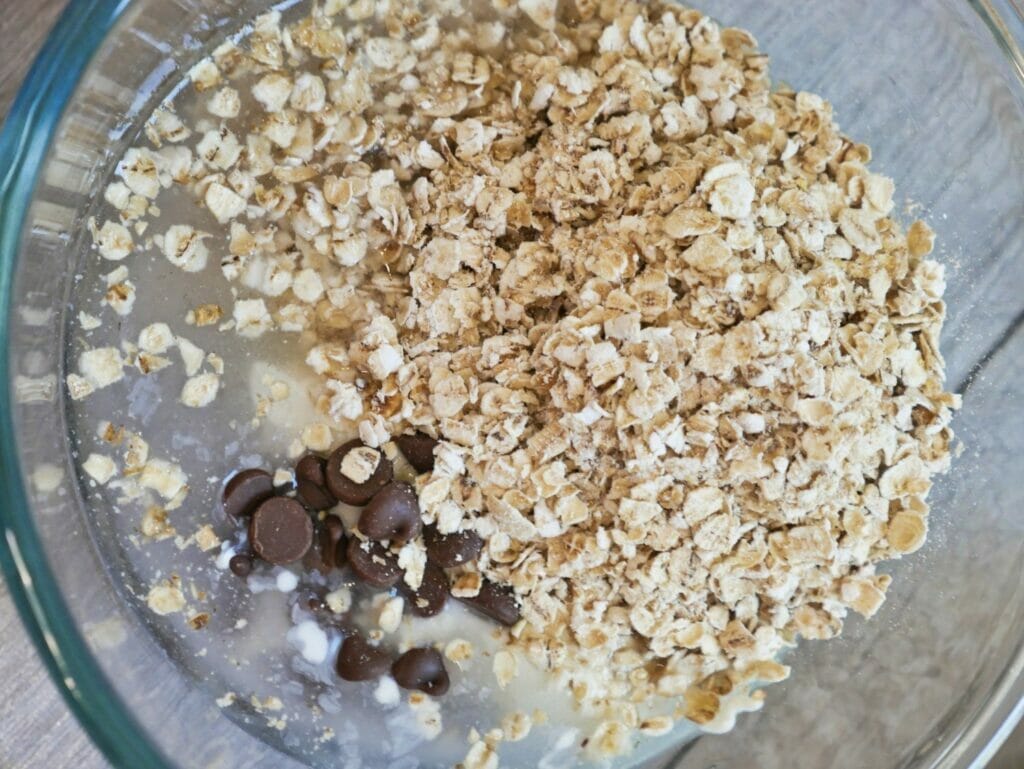 chocolate chips and oatmeal in a bowl