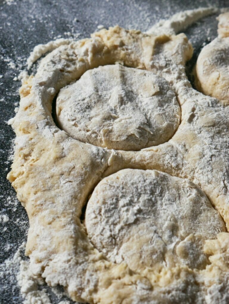 joanna gaines biscuit dough with circles cut out