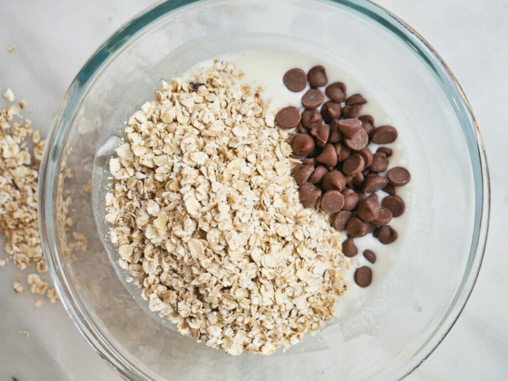 bowl of oats and chocolate chips
