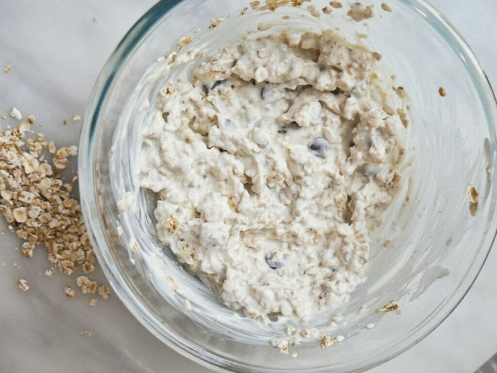 bowl of oatmeal and chocolate chips