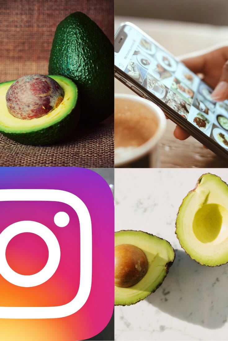 41+ Perfect Avocado Quotes and Avocado Instagram Captions via @nofusskitchen