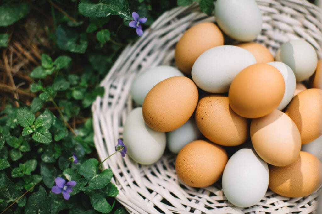 quotes about eggs