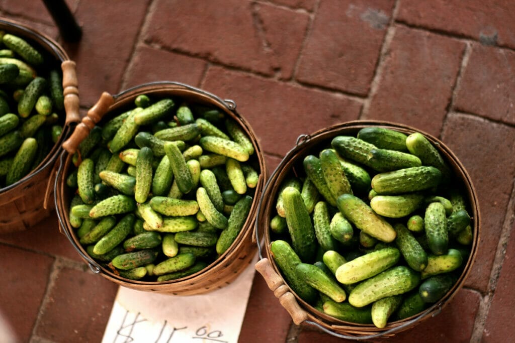 quotes about pickles