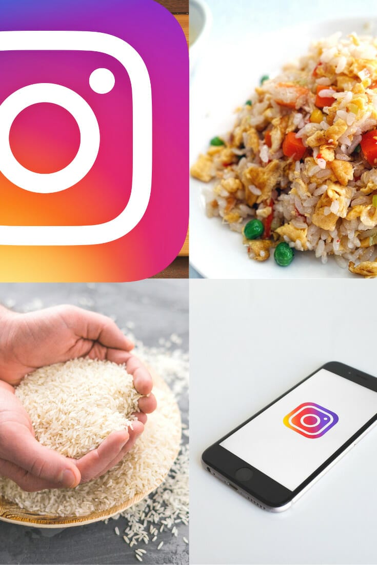 23+ Awesome Rice Quotes and Rice Instagram Captions via @nofusskitchen