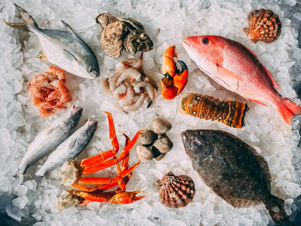 Seafood Instagram Captions