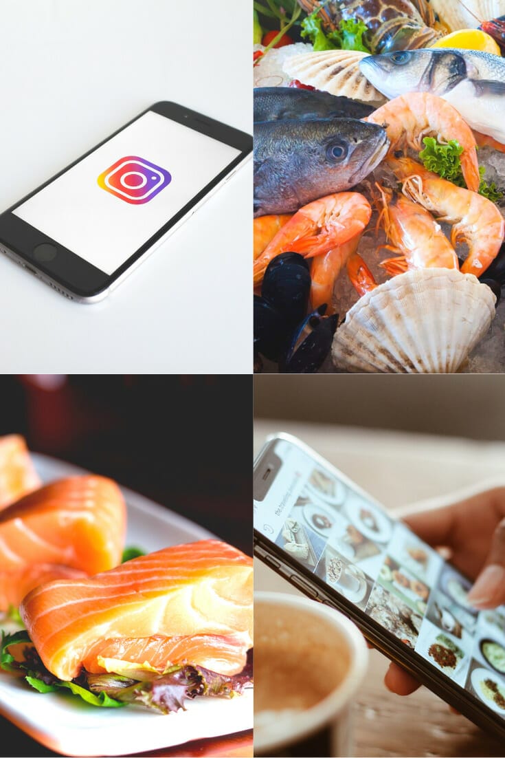 41+ Perfect Seafood Quotes and Seafood Instagram Captions via @nofusskitchen