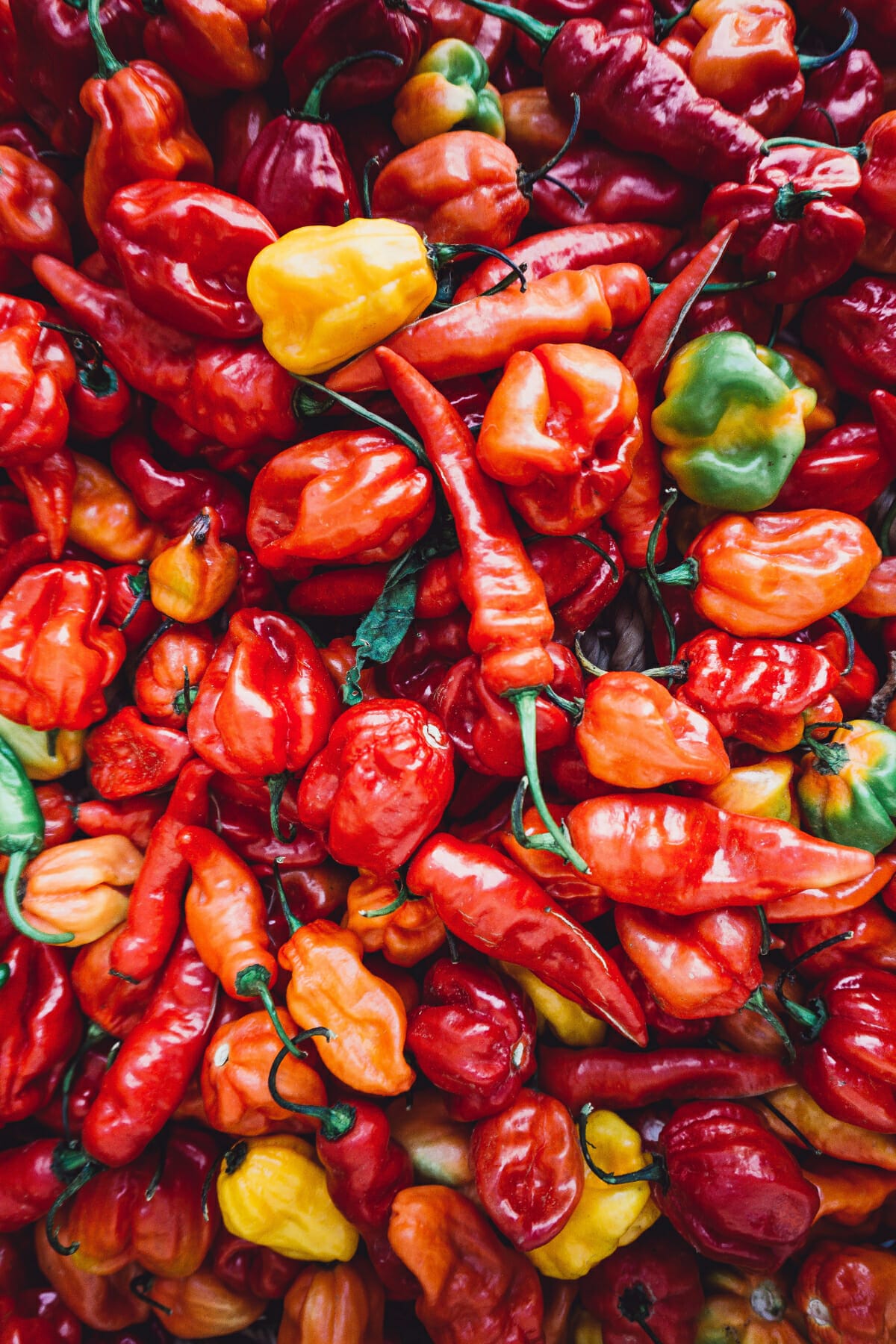 43-perfect-spicy-food-quotes-and-instagram-captions-no-fuss-kitchen