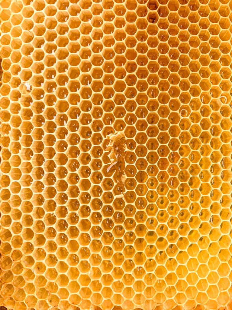 quotes about honey