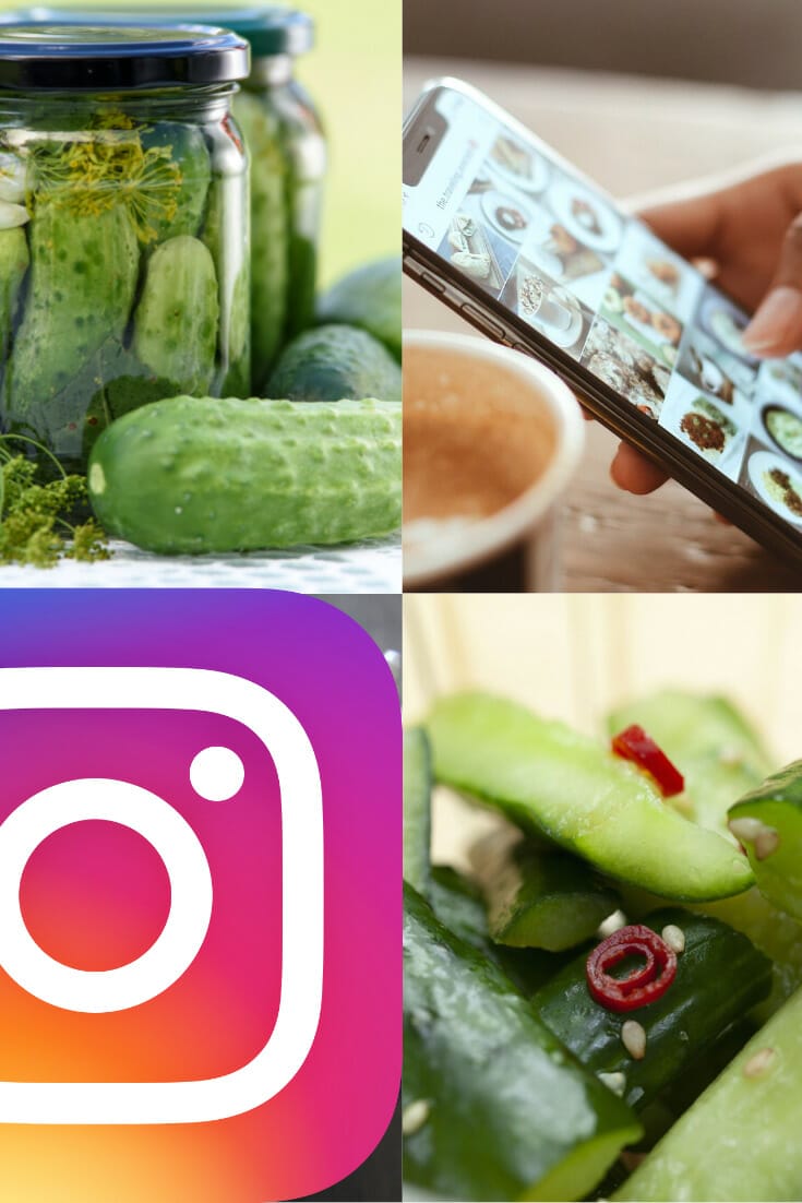 41+ Brilliant Pickle Quotes and Pickle Instagram Captions via @nofusskitchen