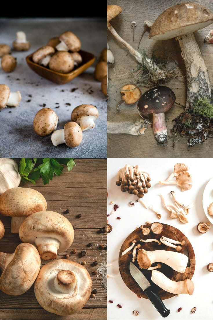 Are Mushrooms Vegetables? The Surprising Answer via @nofusskitchen