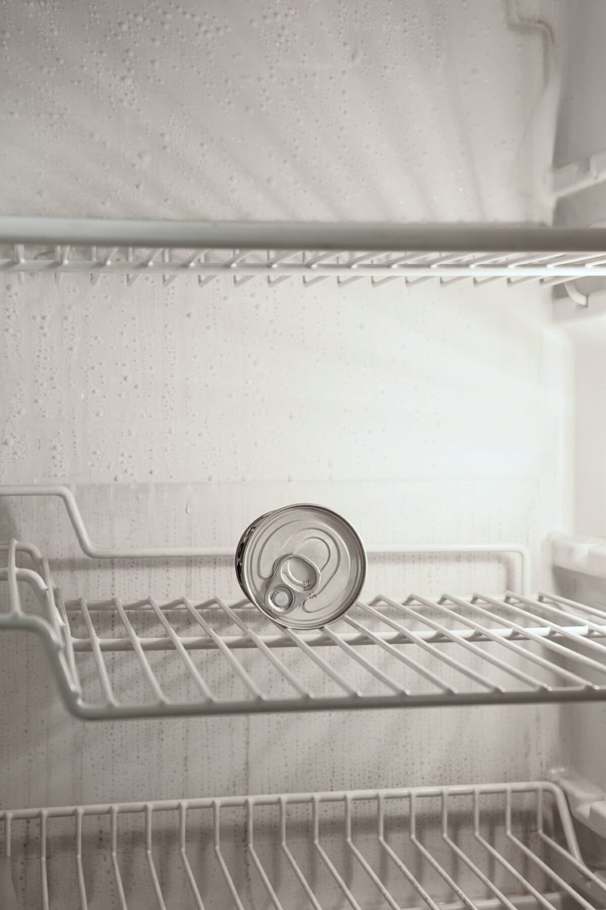 How Long Do Clementines Last How to Store Clementines to Delay