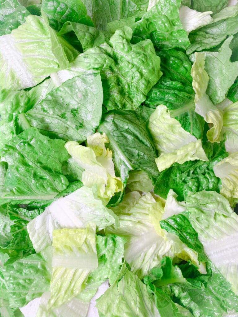 how to dry lettuce without spinner