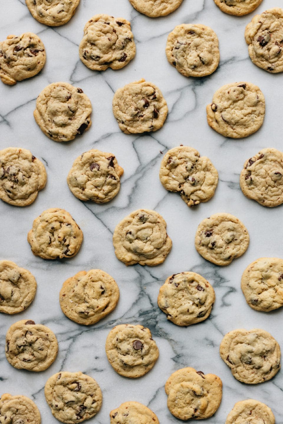 exactly-how-long-do-homemade-cookies-last-how-to-keep-them-fresh