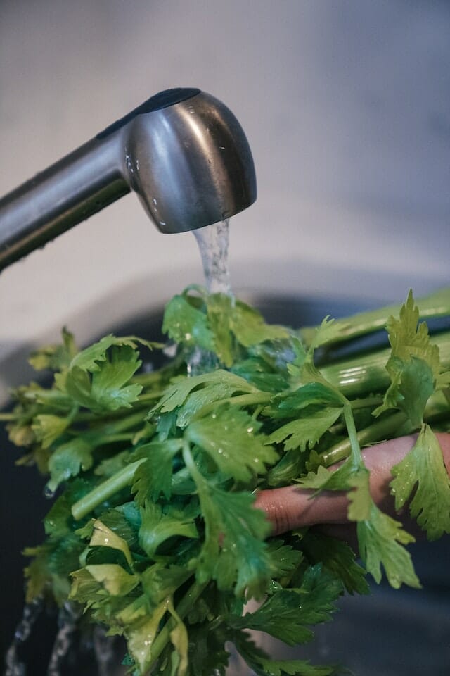 Celery leaves