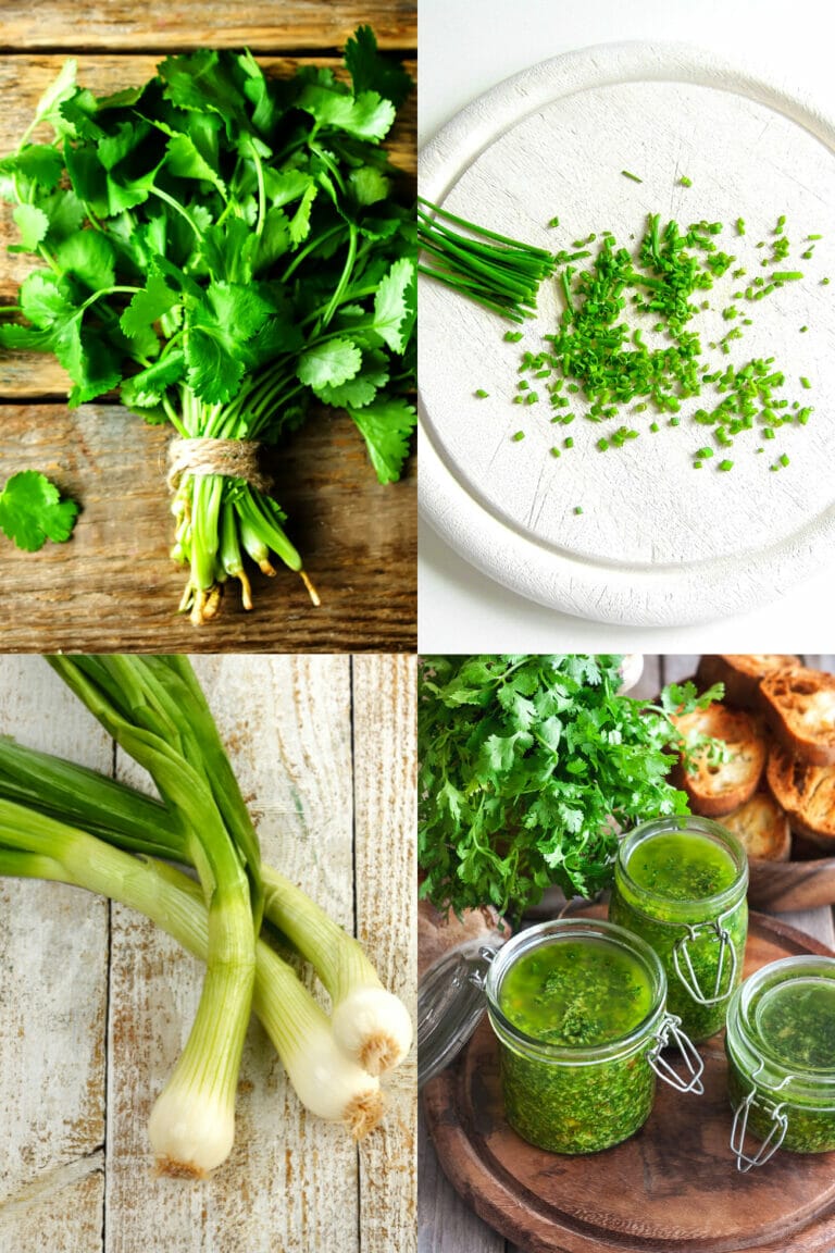 Pictures of green onions and cilantro