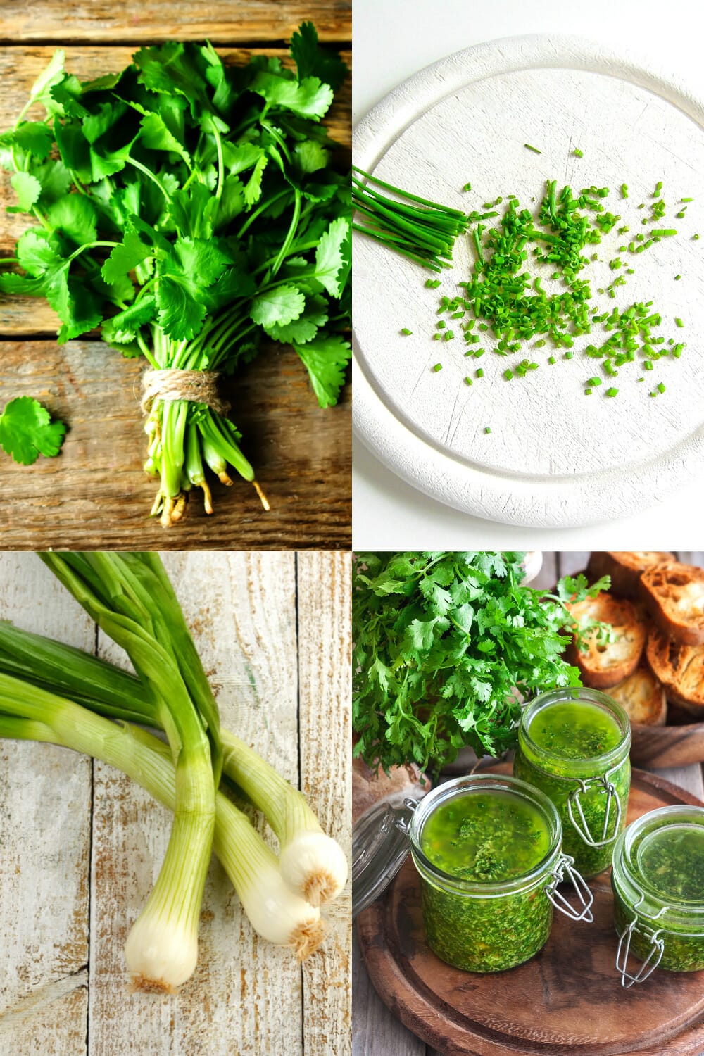 15 Best Cilantro Substitutes for the Perfect Swap via @nofusskitchen