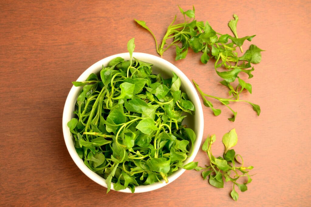 Watercress