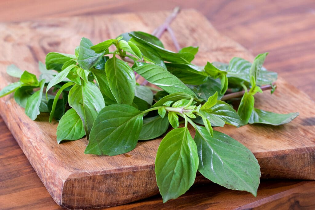 Thai basil