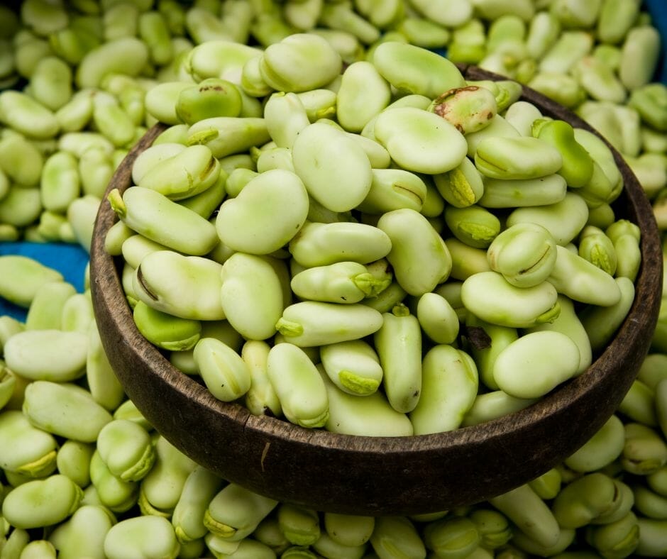 Fava beans in a wooden bowl 