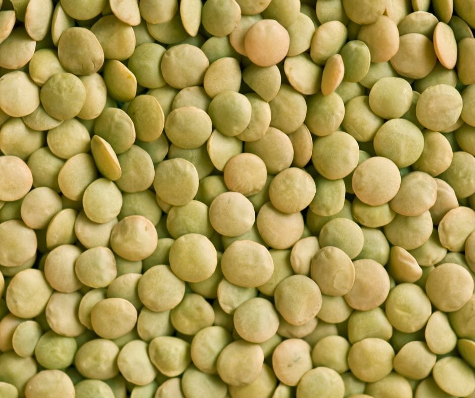 Green lentils up close 