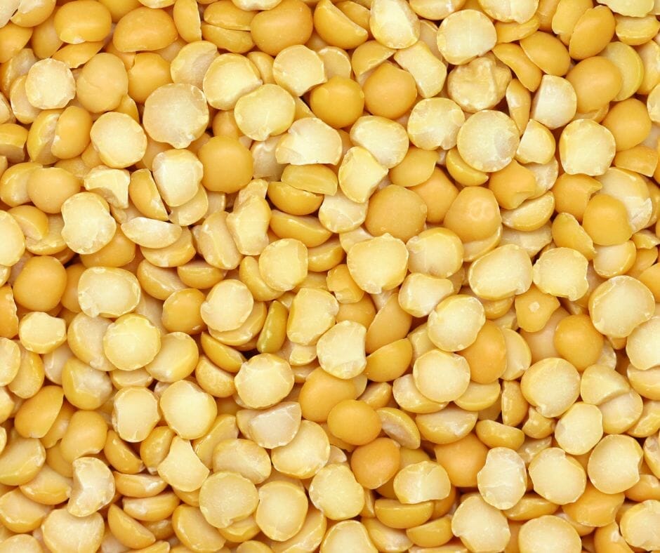 Split yellow peas up close 