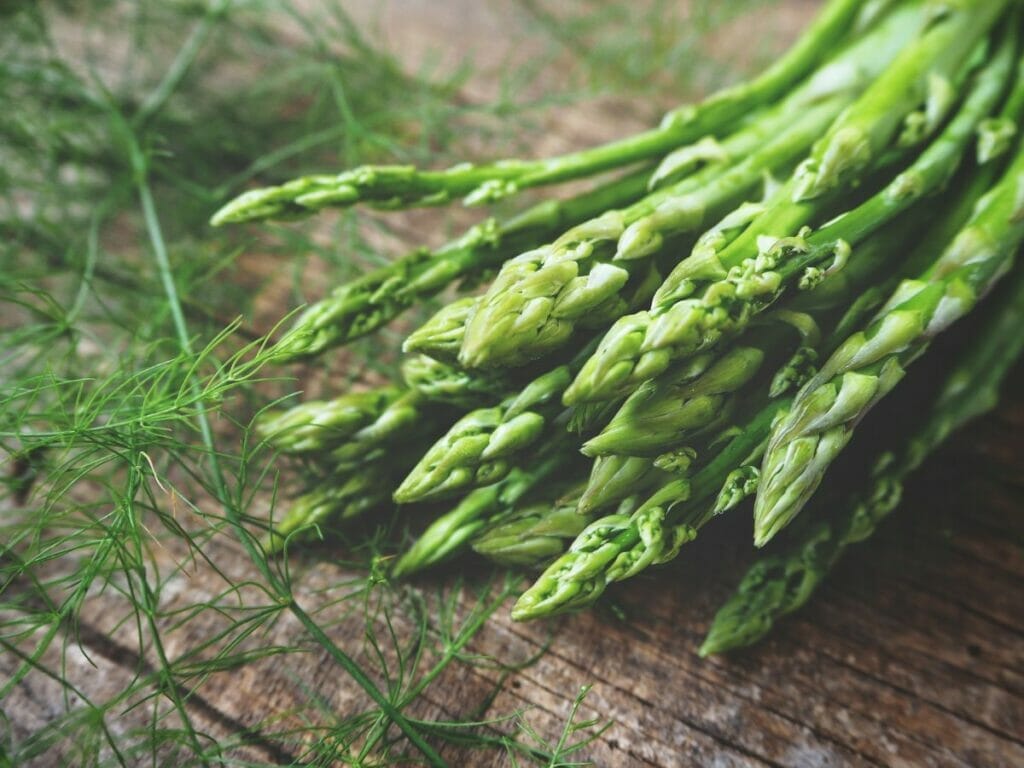 Asparagus 