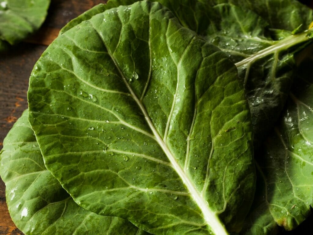Fresh collard greens used as a broccoli substitute