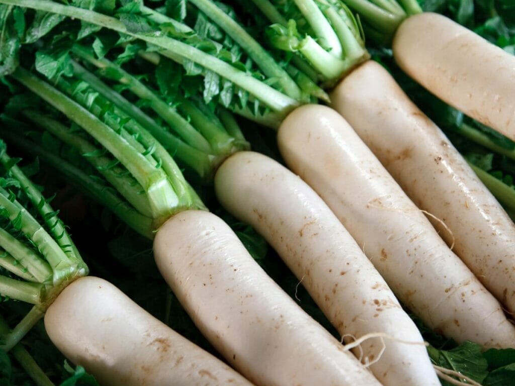 Daikon