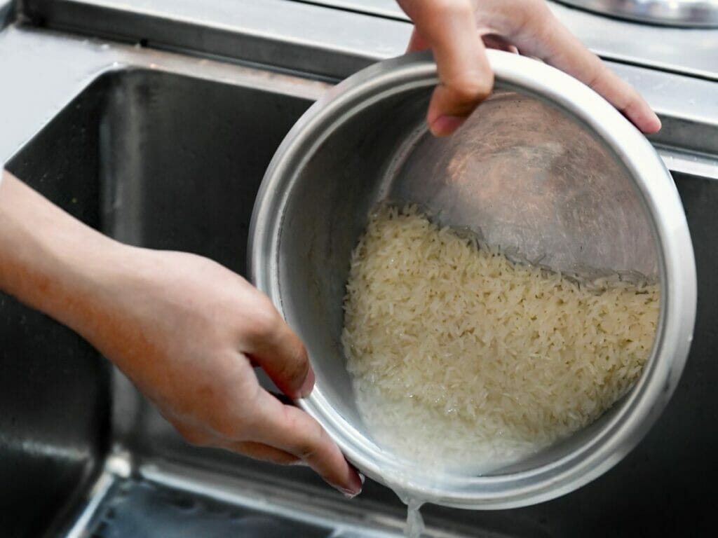 Draining water from rice  