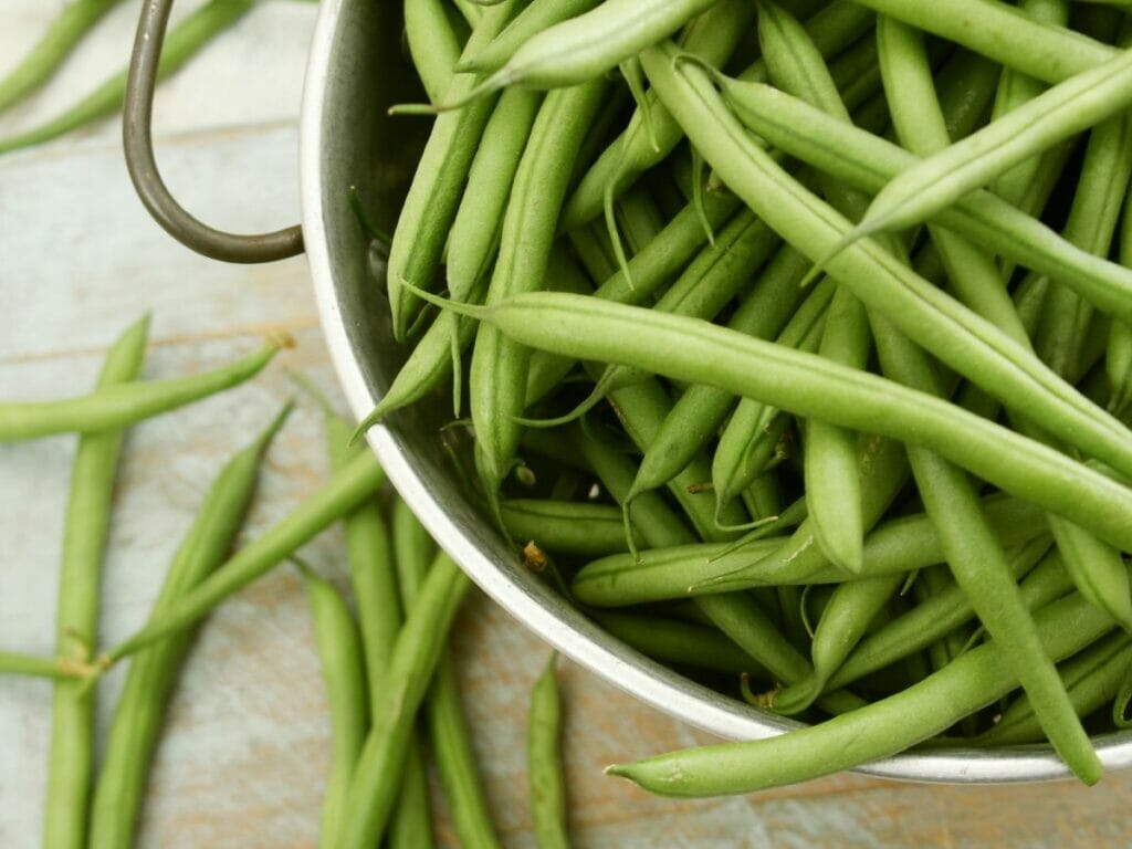 Green beans 