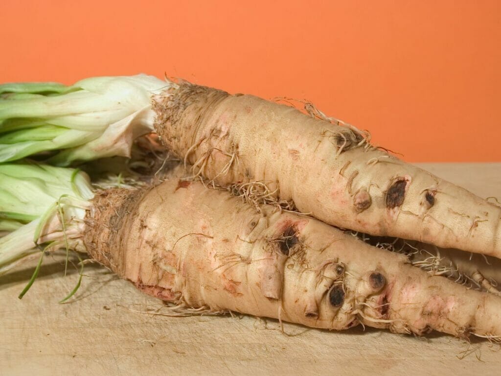 Salsify