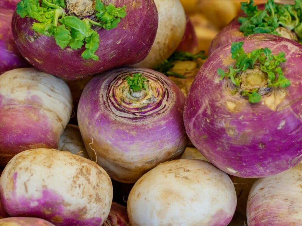 Turnips