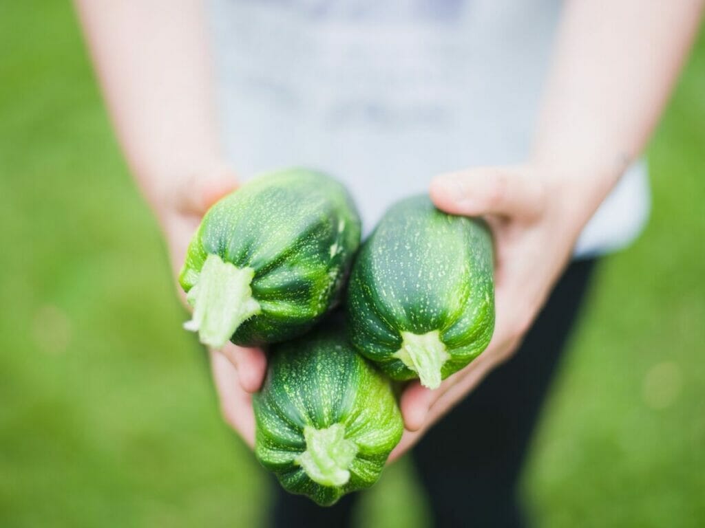 Zucchini