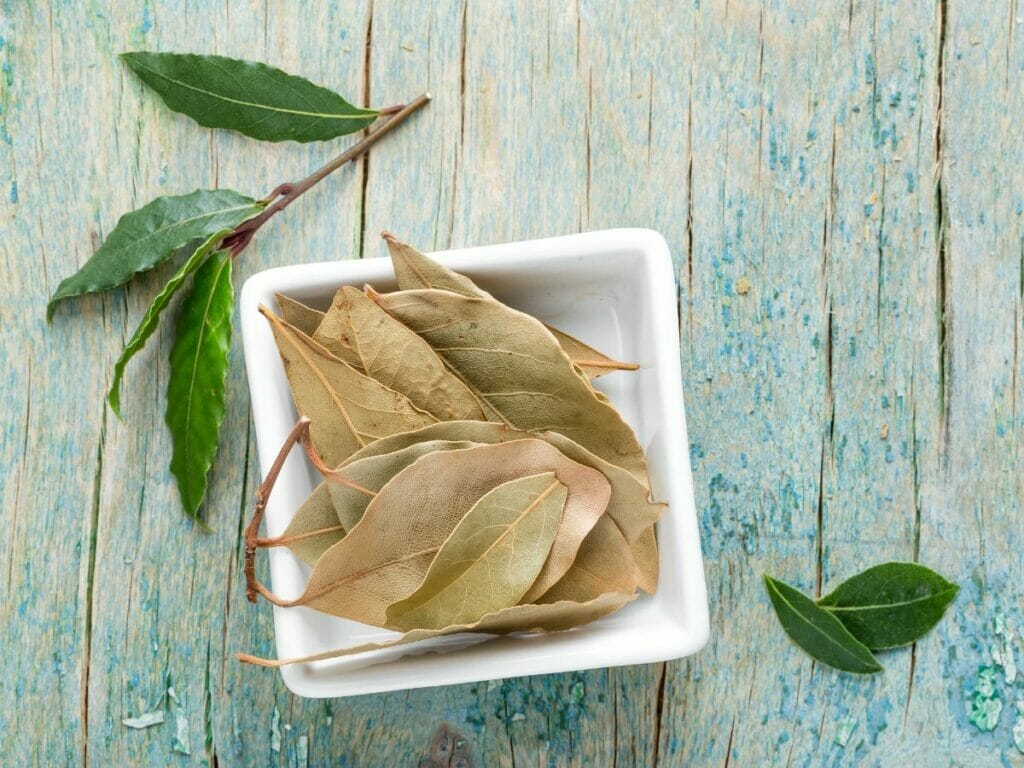 Bay leaves in a dish 