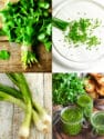 Pictures of green onions and cilantro